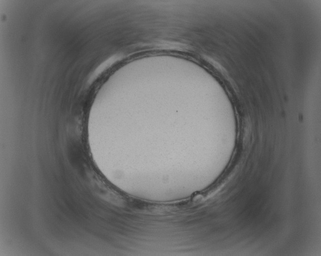 X0000081291163200702012237