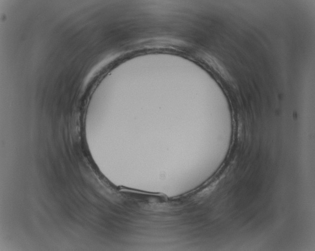 X0000081291164200702012237