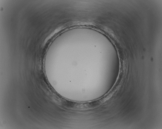 X0000081291165200702012237