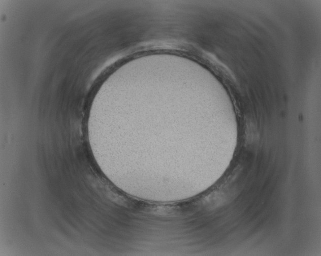 X0000081291166200702012237