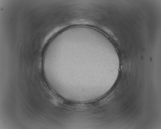 X0000081291167200702012237