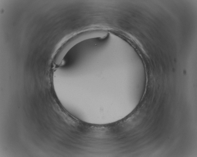 X0000081291168200702012237