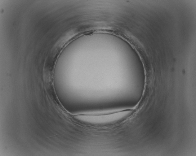 X0000081291169200702012237