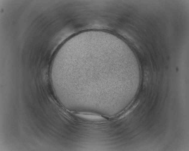 X0000081291170200702012237