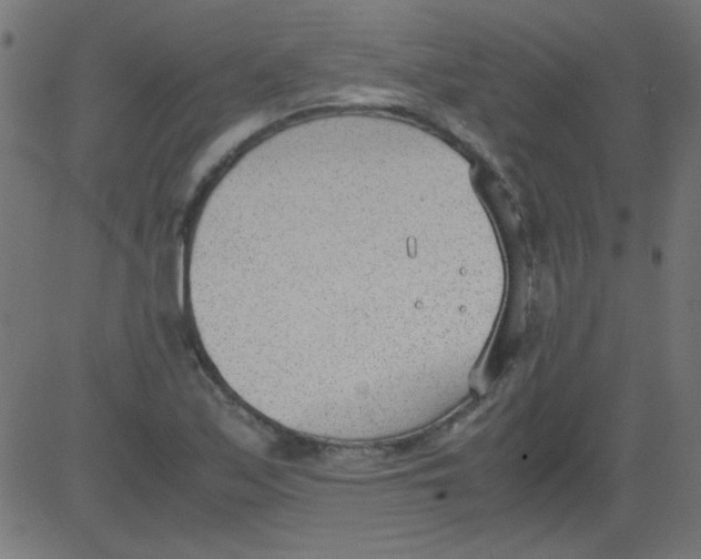 X0000081291171200702012237