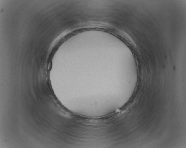 X0000081291172200702012237