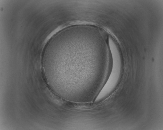 X0000081291173200702012237