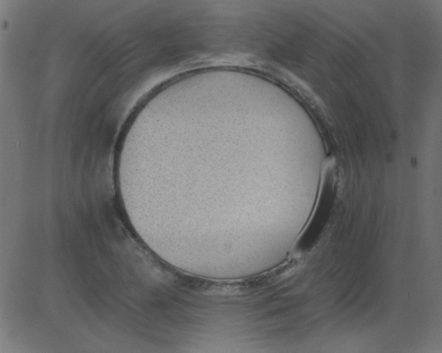 X0000081291174200702012237