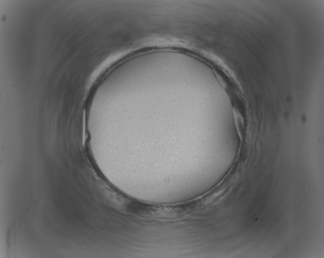 X0000081291175200702012237