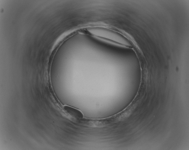 X0000081291176200702012237