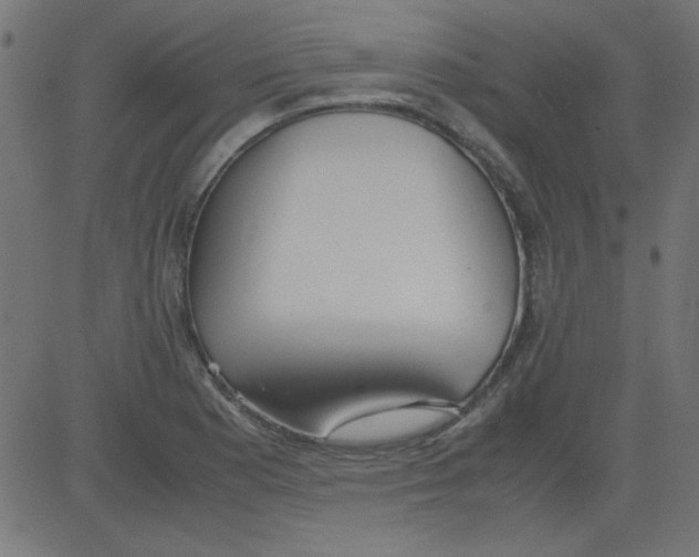 X0000081291177200702012237