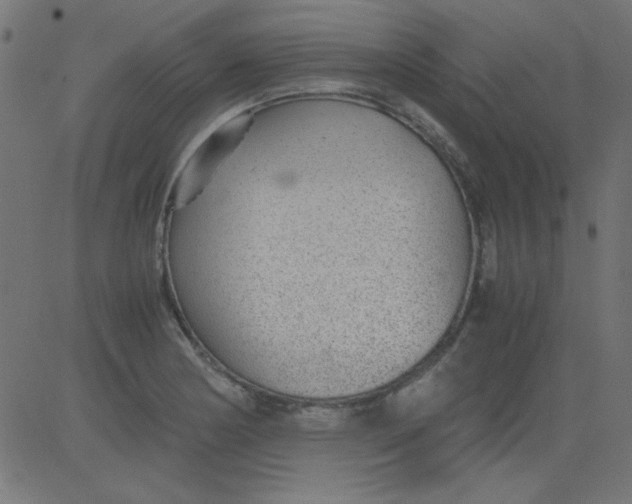 X0000081291178200702012237