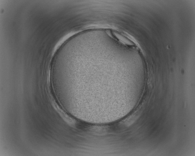 X0000081291179200702012237