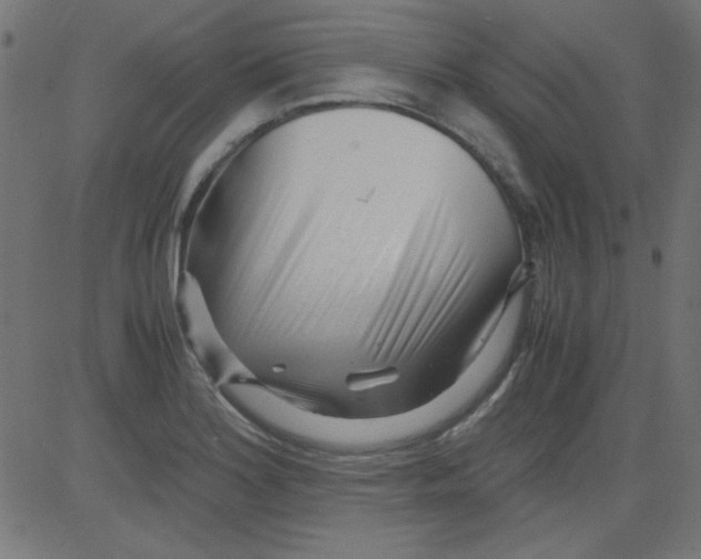 X0000081291180200702012237