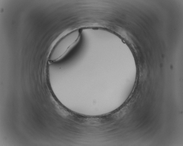 X0000081291181200702012237