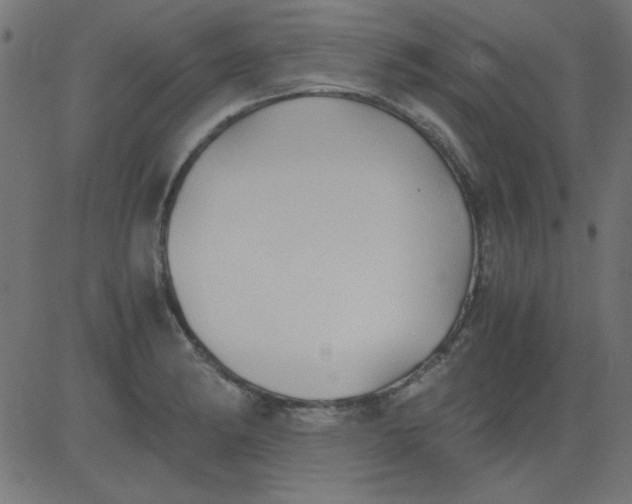 X0000081291182200702012236