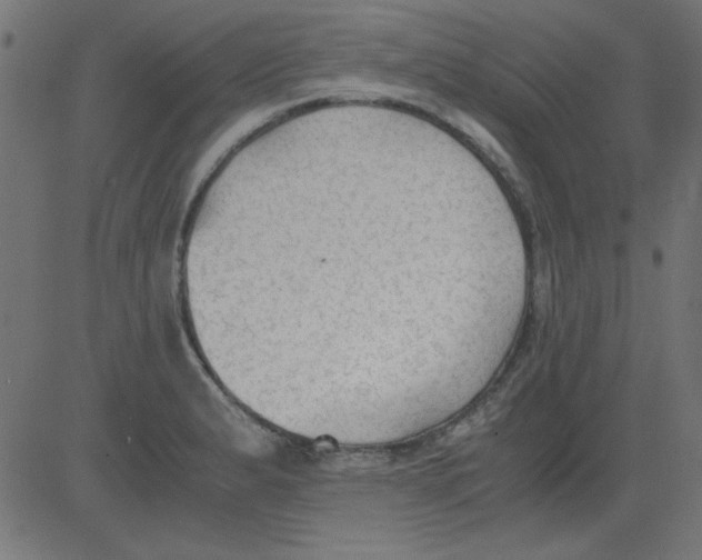 X0000081291183200702012236