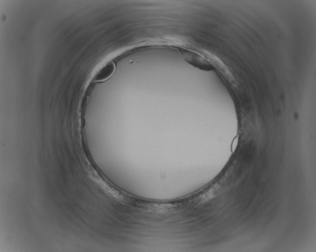 X0000081291184200702012236