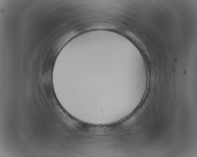 X0000081291185200702012236