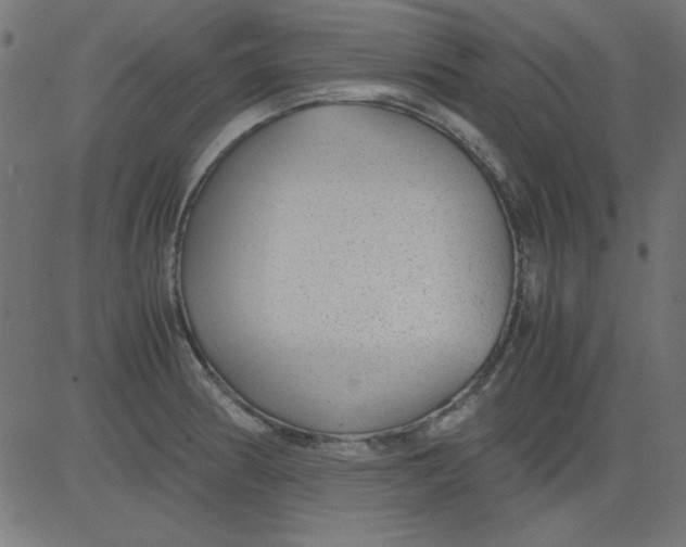 X0000081291186200702012236