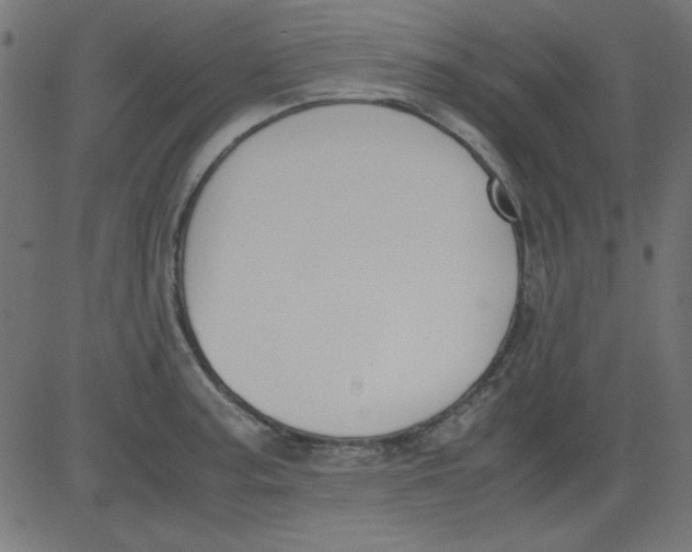 X0000081291187200702012236