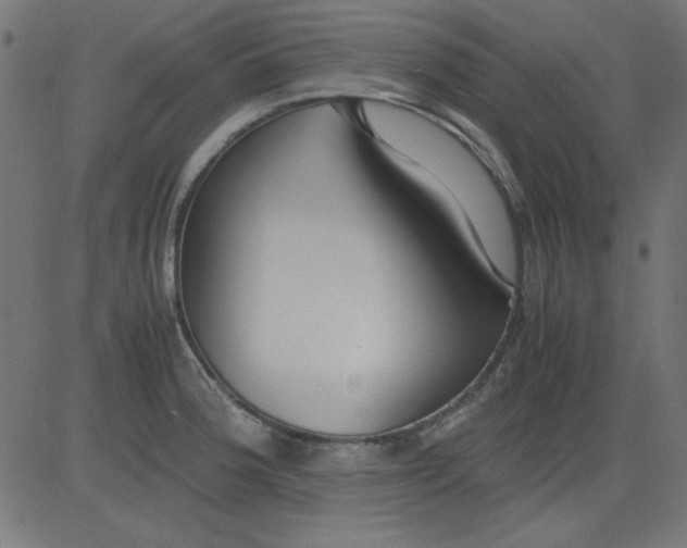 X0000081291188200702012236