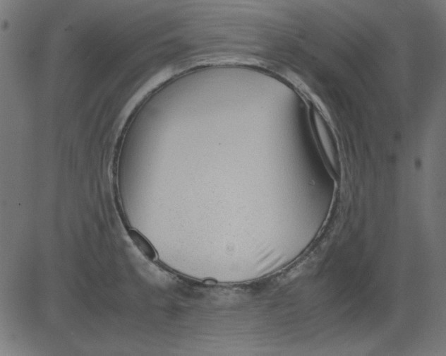 X0000081291189200702012236