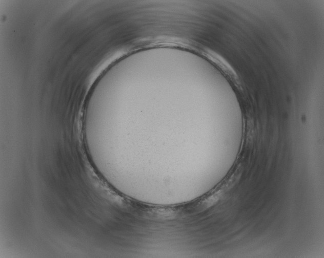 X0000081291190200702012236