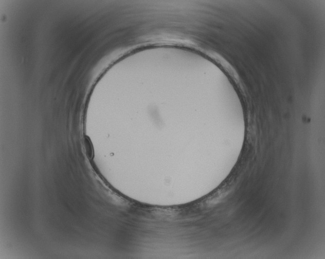 X0000081291191200702012236