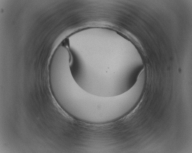 X0000081291192200702012236