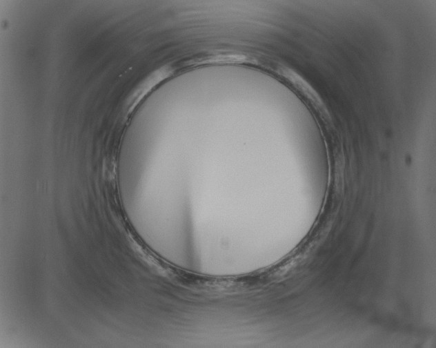 X0000081291193200702012236