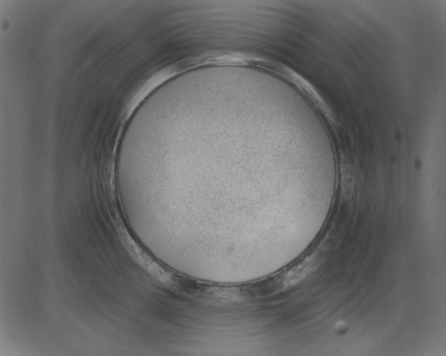 X0000081291194200702012236