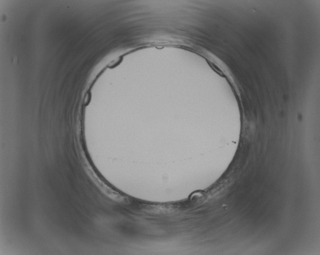 X0000081291195200702012236