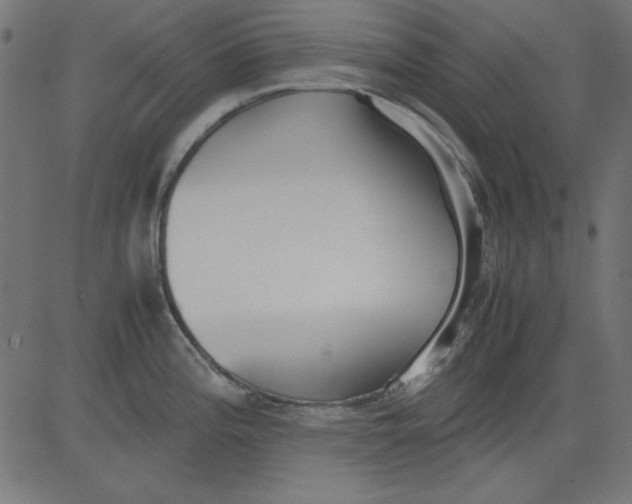 X0000081291196200702012236