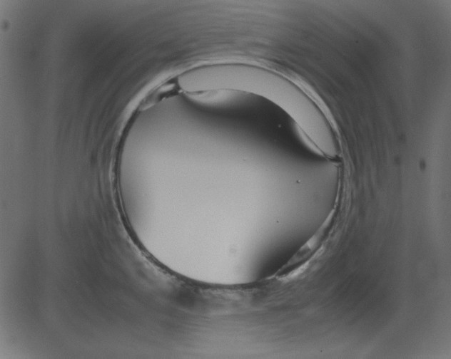 X0000081291197200702012236