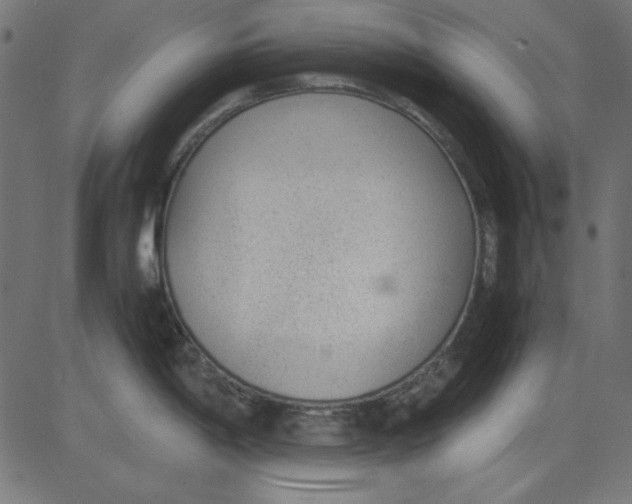 X0000081291198200702012236