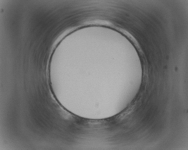 X0000081291199200702012236