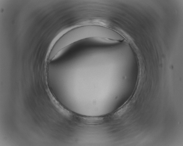 X0000081291200200702012236