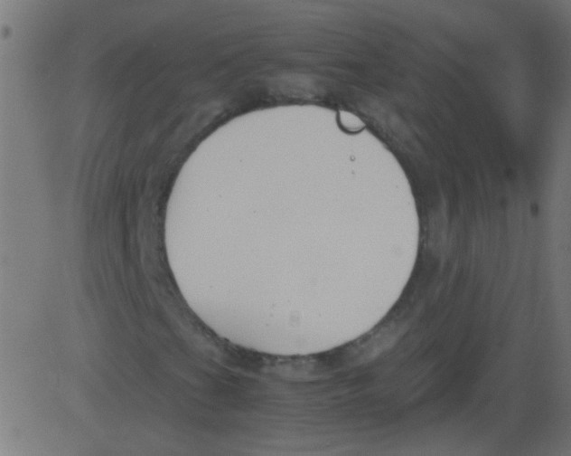 X0000081291201200702012235