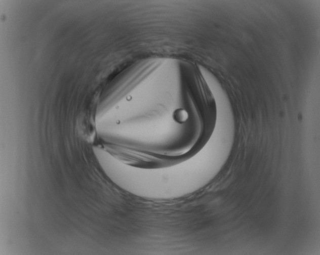 X0000081291202200702012235