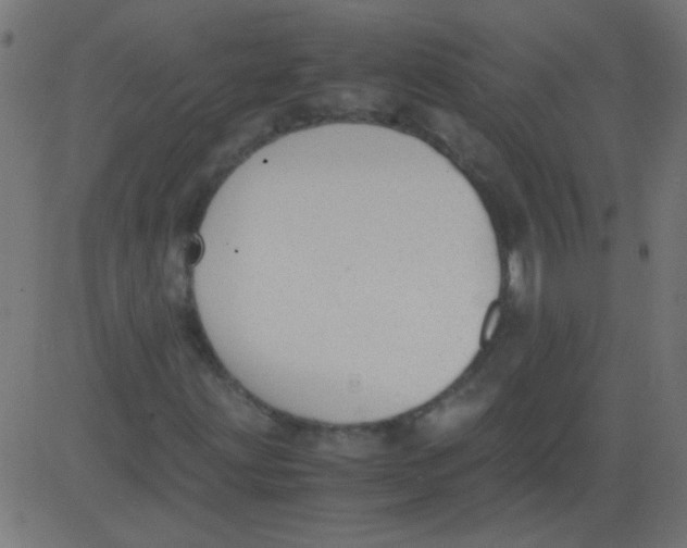 X0000081291203200702012235