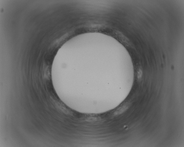 X0000081291204200702012235