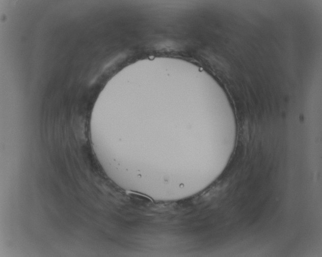 X0000081291205200702012235