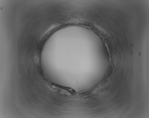 X0000081291206200702012235