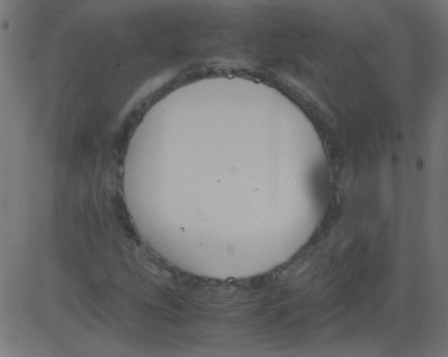 X0000081291207200702012236