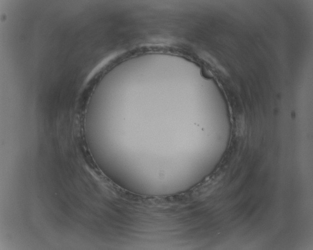 X0000081291208200702012236