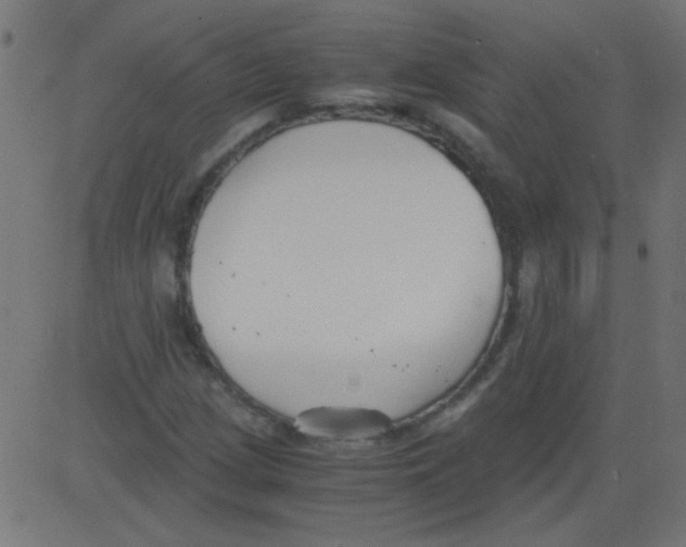 X0000081291209200702012236