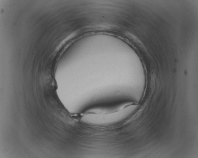 X0000081291210200702012236