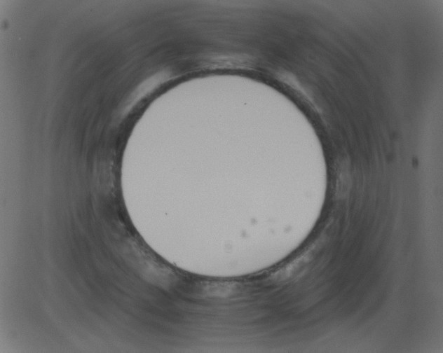 X0000081291211200702012236