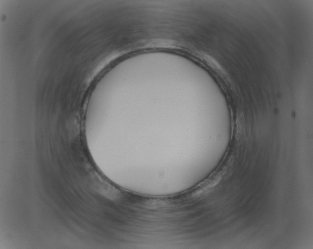 X0000081291212200702012236